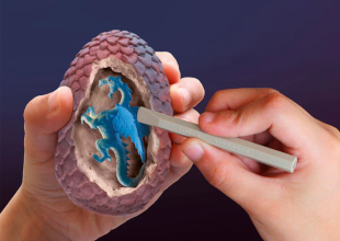 E Dragon Egg